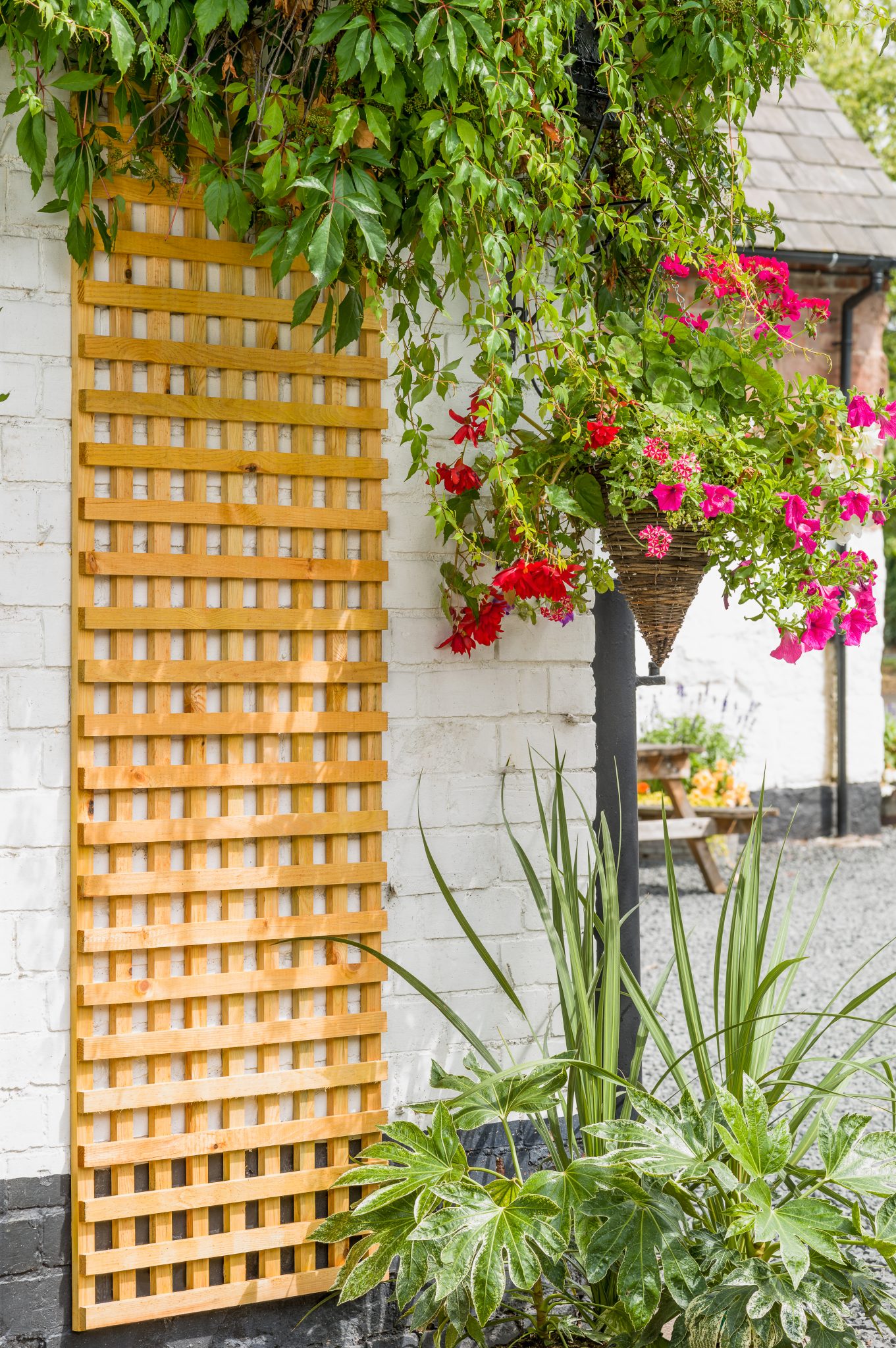 A fine mesh square style, heavy duty trellis that is great as a fence top, privacy screen or supporting climbing plants. The Badminton Trellis is manufactured from fine sawn timber that provides a smooth and exceptional finish and is available pressure-treated golden brown for longevity in use.