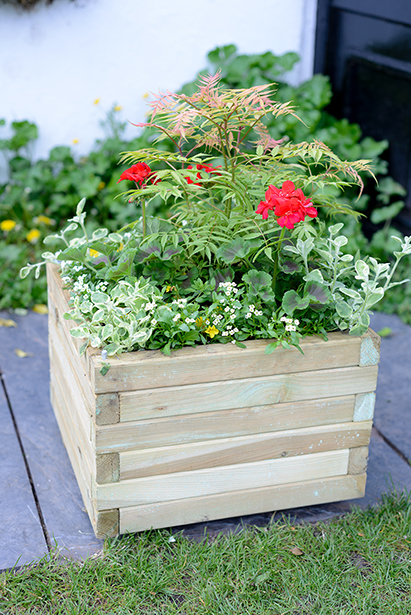 A substantial medium sized Square Planter ideal for creating a modern planting display. The planed and pressure treated timber enhances this robust planter’s lifetime. The sturdy frame is supported by a metal locating pin in each corner, ensuring long-term durability.