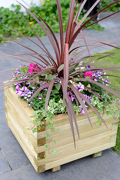A heavy duty large Square Planter which is ideal for planting displays in your garden. The timber is pressure treated ensuring longevity in use, as well as being planed, giving it a superior finish. The sturdy frame is supported by a metal locating pin in each corner, ensuring long-term durability.