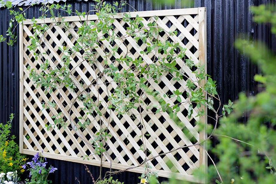 Both the Elite Lattice Trellis and the Elite Meloir Bow Top Lattice are fitted into a sturdy 40mm rebated frame. The trellis is planed, chamfered and grooved providing a beautiful decorative finish. With a 44mm lattice gap throughout, the timber is pressure-treated ensuring protection against wood rot and fungal decay