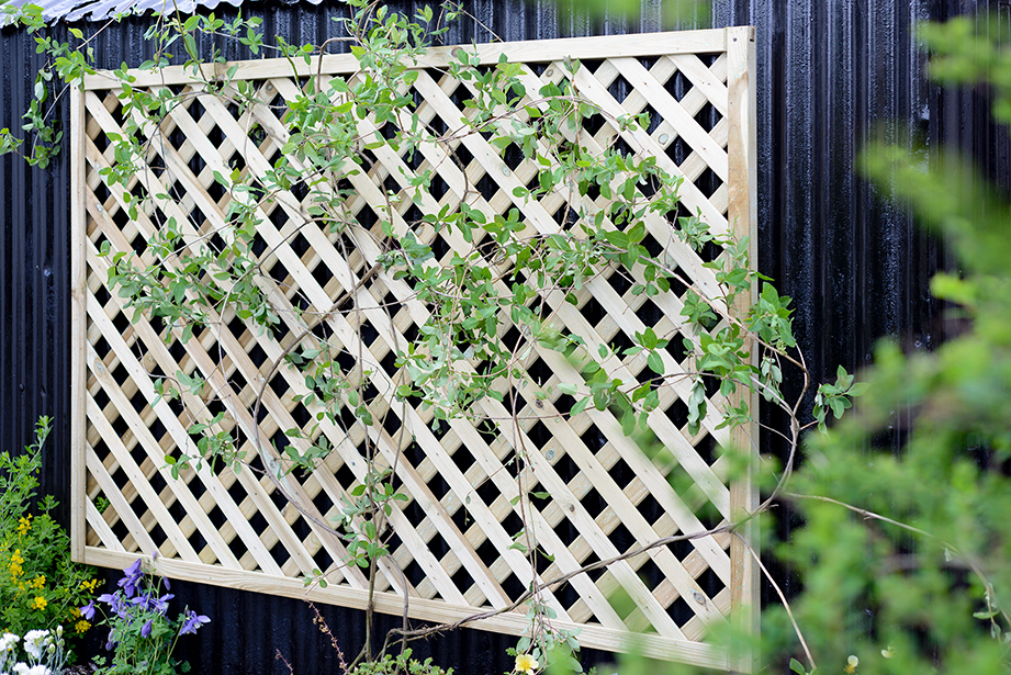 lattice wall trellis lattice wall trellis