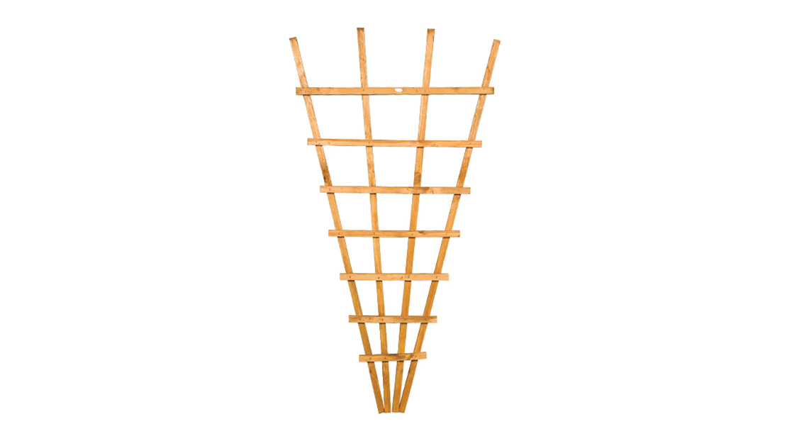 This fan shape trellis allows plants to be supported in a more interesting and natural shape with a new and improved, fine sawn timber finish. This trellis is pressure-treated golden brown for protection against wood rot
