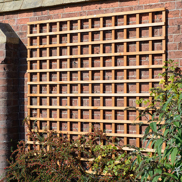 This Heavy Duty Trellis with a robust frame is ideal for supporting climbing plants. The fine swan timber provides a smooth, superior finish whilst the pressure treatment protects the trellis from wood rot and decay.