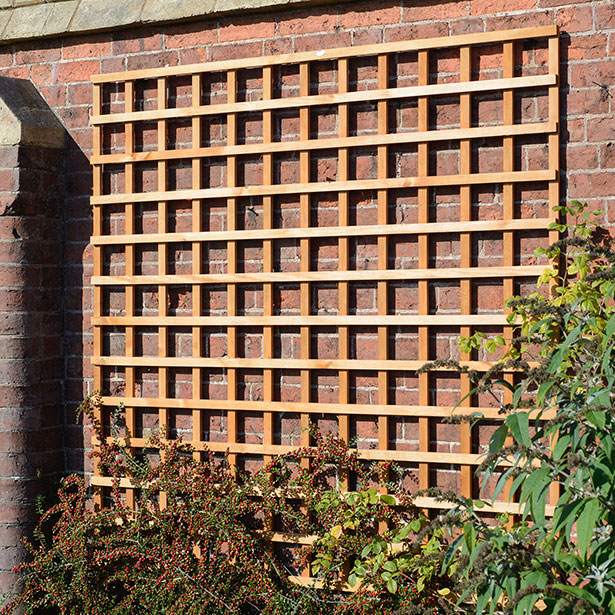 This Heavy Duty Trellis with a robust frame is ideal for supporting climbing plants. The fine swan timber provides a smooth, superior finish whilst the pressure treatment protects the trellis from wood rot and decay.