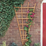 This fan shape trellis allows plants to be supported in a more interesting and natural shape with a new and improved, fine sawn timber finish. This trellis is pressure-treated golden brown for protection against wood rot