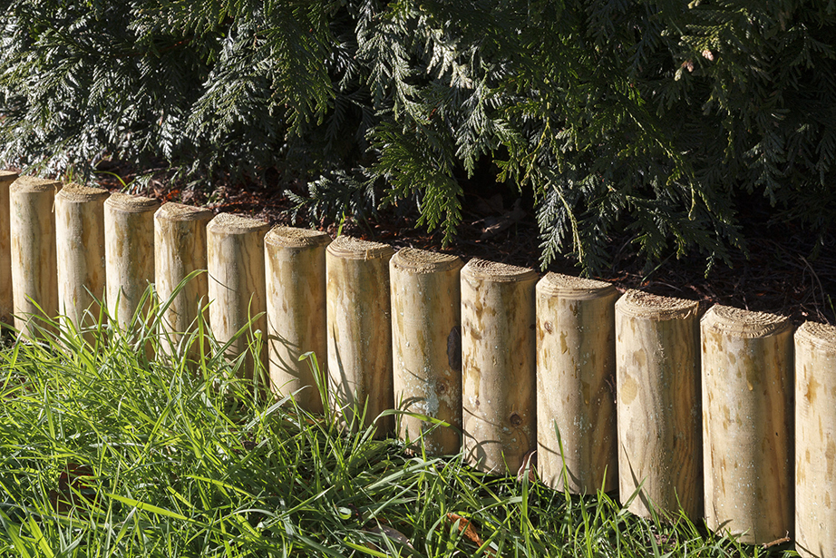 The green log edging board makes it easy to create decorative borders in your back garden; perfect for enhancing special features such a flower beds or paths. Its natural timber is attractive and excellent for providing a polished look for your outdoor space. Pressure treated for protection against wood rot.