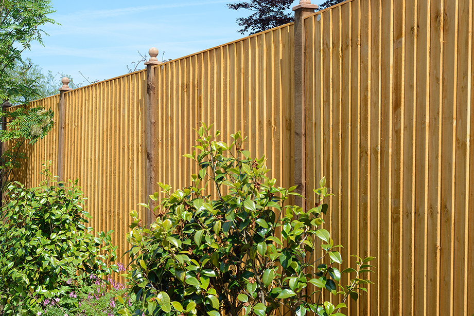 A heavy duty panel made with 100mm featheredge boards and capping rail fixed to a sturdy frame. The Standard Featheredge Panel is available in pressure-treated golden brown or pressure-treated green to protect the timber from wood rot.