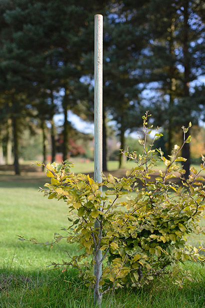 Machine rounded timber ideal to use a plant or tree support.