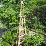 This three sided Trellis Obelisk is ideal for growing runner beans or other climbing plants. The pressure treated timber provides extra protection against wood rot and decay.