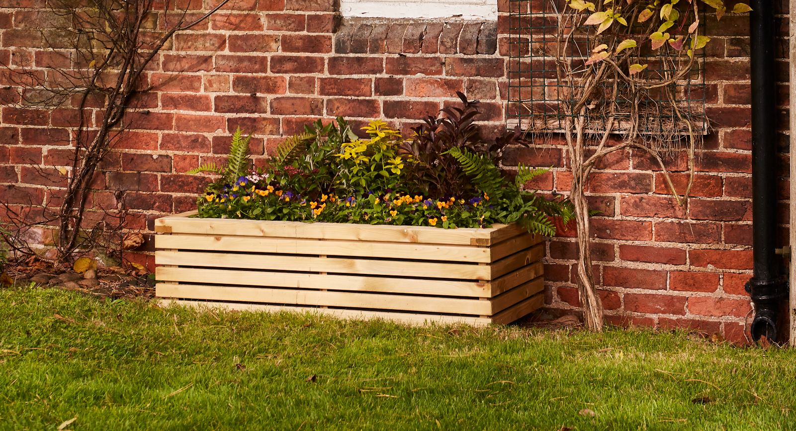 A substantial rectangular planter, perfect as a showpiece on a patio or decking area. Designed to match the Grange Contemporary garden range, the slats are planed and rounded for a premium feel. This planter comes with a liner, fully assembled and pressure treated as standard to provide protection from wood rot.