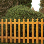 PALISADE PANEL Manufactured from finely sawn timber, the tulip offers a stylish but modest design of fencing for your garden or parameter. This panel is available pressure-treated golden brown which protect the timber from wood rot and fungal decay. It is recommended to use the Tulip Mortised Posts