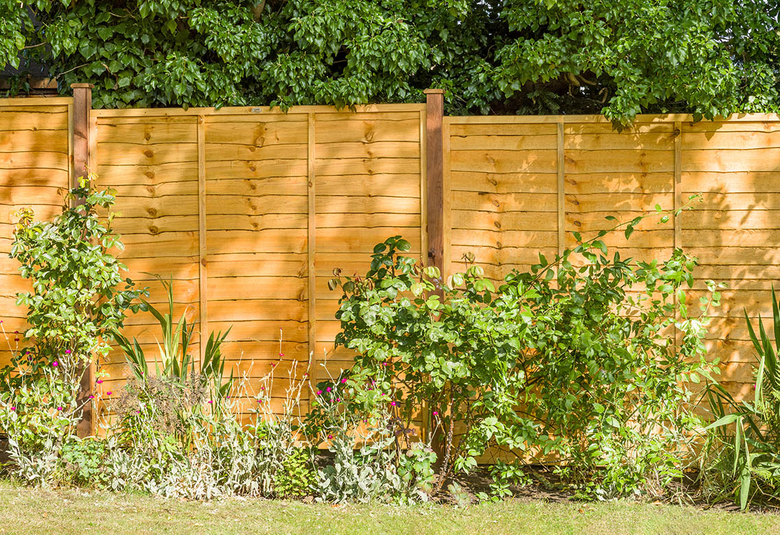 A new and improved overlap panel constructed using double waney edge slats that are secured into a neat rebated frame, making it stronger than a traditional panel. Available in a choice of pressure-treated Golden Brown or pressure-treated Green, offering protection against wood rot and decay.