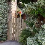 A domed top gate with a simplistic yet rustic feel, ideal to use along a pathway or entrance. The planed timber is pressure-treated to ensure longevity in use.