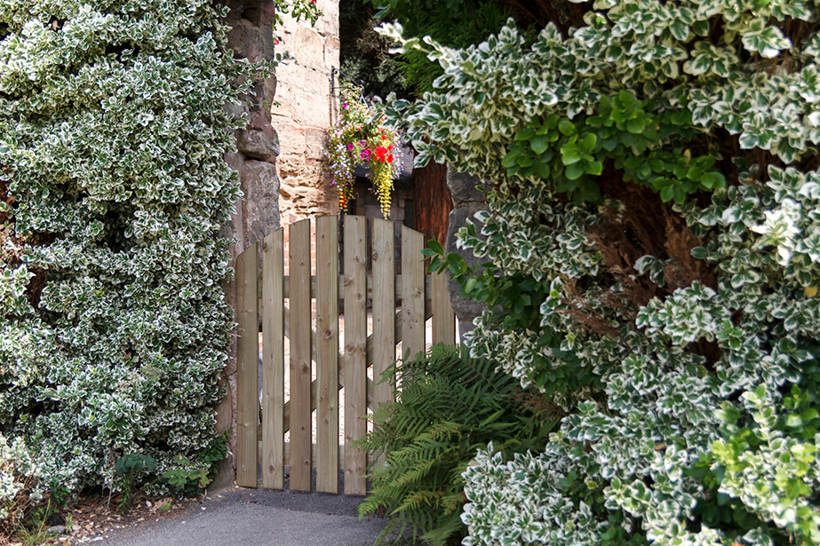 A domed top gate with a simplistic yet rustic feel, ideal to use along a pathway or entrance. The planed timber is pressure-treated to ensure longevity in use.